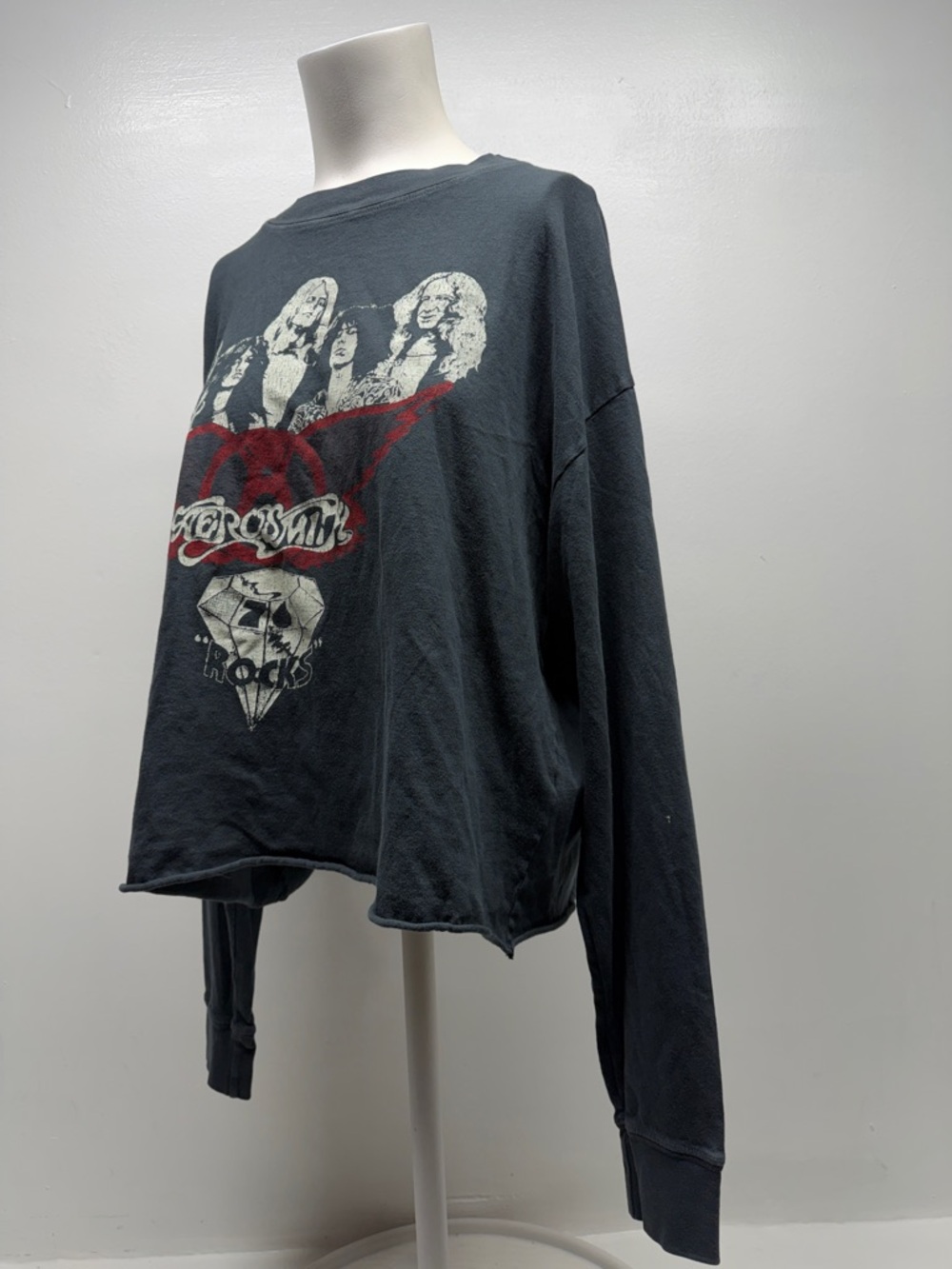 Daydreamer Aerosmith Band Graphic Cropped Long Sleeve Top Shirt Gray Size Medium - Picture 5 of 7